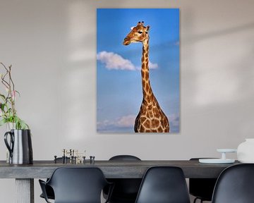 De giraffe, Namibië wilde dieren