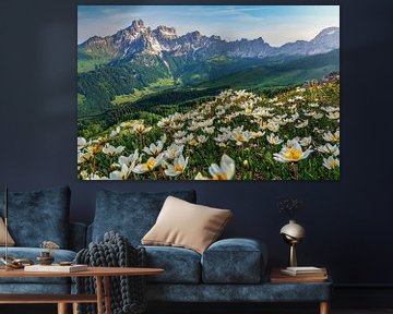 Berglandschap "Bloemen in de Salzburgse Dolomieten" van Coen Weesjes