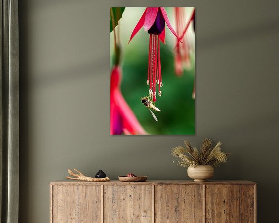 Aperçu de la chambre