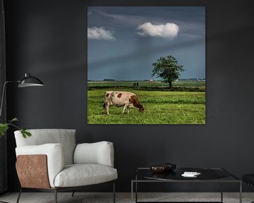 Landschap in Friesland met koe en fietsers nabij het dorpje Sondel van Harrie Muis