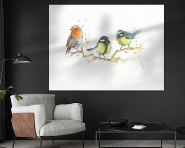 Vögel in aquarell von Atelier DT
