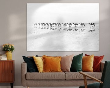 Kamelen karavaan door de woestijn | Ethiopië
