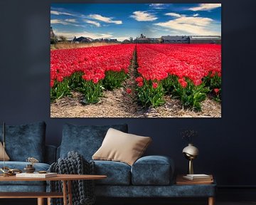 Bloembollenveld met rode tulpen van Wim Stolwerk