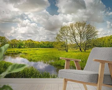 Drentsche Aa by rosstek ®