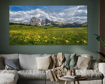 Le printemps sur l'Alpe di Siusi sur Teun Ruijters