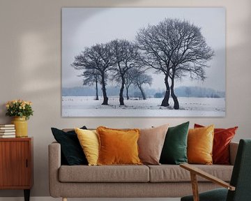 Winterse bomen bij Coevorden. van Rens Kromhout