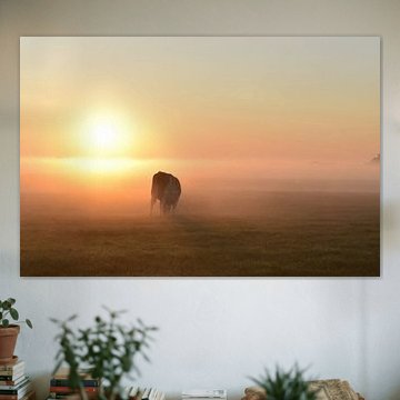 Lever de soleil féerique dans le campagne.