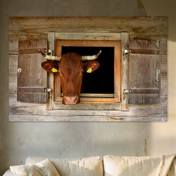 Une vache brune regarde l'étable sur l'alpage.