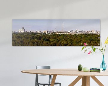 Panorama skyline Berlijn van Frank Herrmann