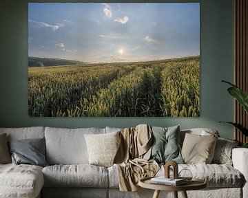 Sunrise at a cornfield by John van de Gazelle