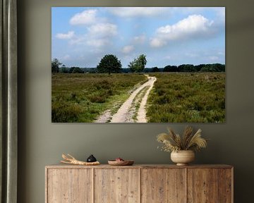 A sandy path across the Ermelosche Heide by Gerard de Zwaan