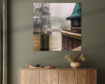 Ganzen in de Mist