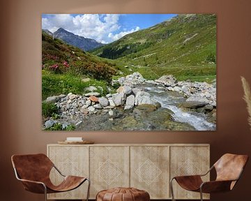 Alpenweides, rivier en azalea's op de Splügenpas Zwitserland van My Footprints