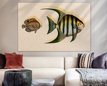 Fishy Fish van Gisela - Art for you