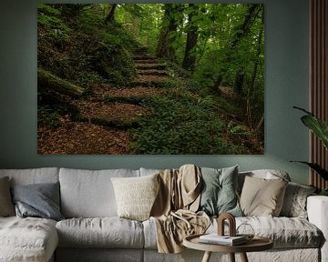 doorkijkje bospad met trap in Müllerthal van FotoBob