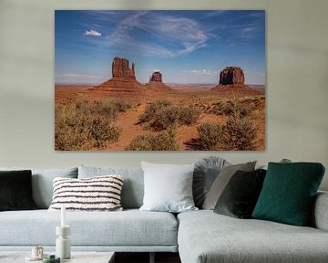 Monument Valley Navajo Tribal Park van Gert Hilbink