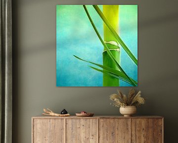 Bamboo by INA FineArt
