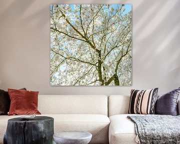 Bomen met Bloesem Bright Skies 2 van Alie Ekkelenkamp
