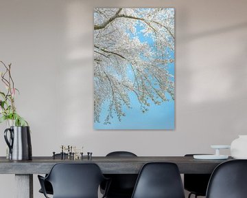 Trees with Blossom Bright Skies Japandi by Alie Ekkelenkamp