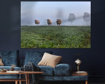 Schafe im Nebel von Shutterbalance