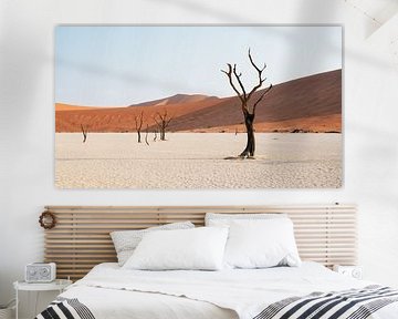 Deadvlei || Namibië, Sossusvlei van Suzanne Spijkers