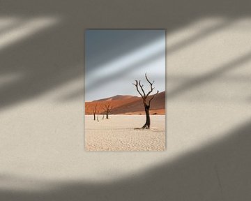 Deadvlei | Namibia, Sossusvlei von Suzanne Spijkers