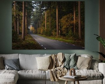 Autoroute à travers la forêt. sur OCEANVOLTA