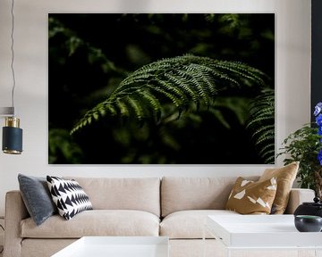 All the leafs are green | Green Fern by Linda Bouritius