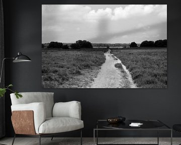 Over the Ermelosche Heide in black and white by Gerard de Zwaan