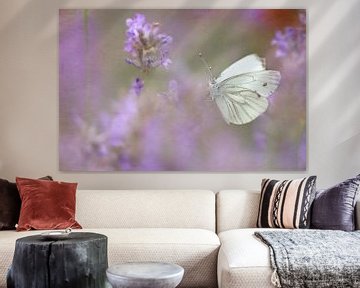 Lavender butterfly by Heike Hultsch