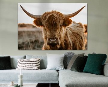 Highland cow by Anne Verhees