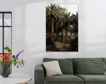 Botanische tuin - palmbomen van Anne Verhees
