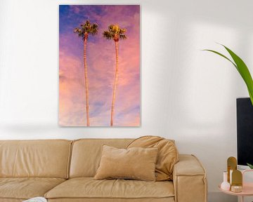 Coucher de soleil avec des palmiers