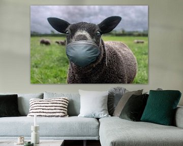 The black sheep van Elianne van Turennout