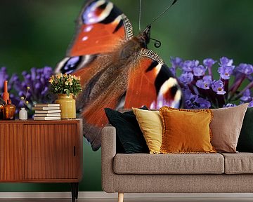 peacock, butterfly by Nynke Altenburg