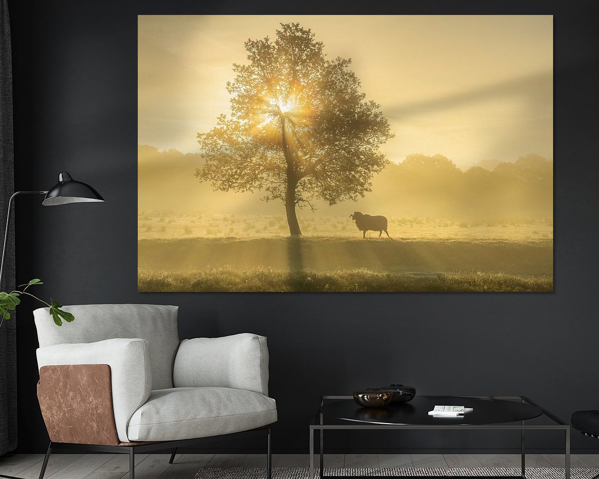 Voorbeeld van het werk in een kamer
