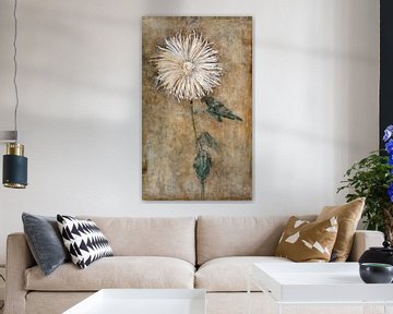 Chrysanthemum, Piet Mondriaan