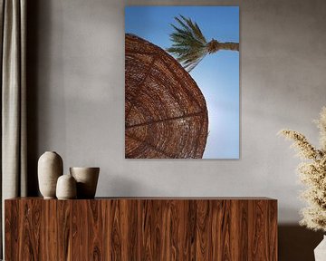 Zon en palmboom van Josef Rast Fotografie