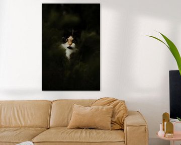 Portret van een poezenkat in de wei van Dominik Schloffer