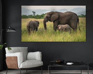 Afrikaanse olifant (Loxodonta africana) van Alexander Ludwig