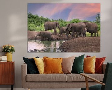 Afrikanischer Elefant (Loxodonta africana) von Alexander Ludwig