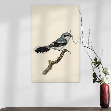 Clapperboard Stephanus Hendrik Willem van Trigt (1790-1840) before 1840 by Teylers Museum