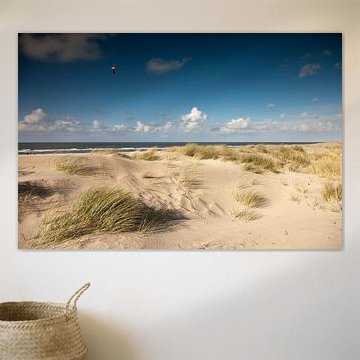 Dünenlandschaft an der Küste, Insel Spiekeroog