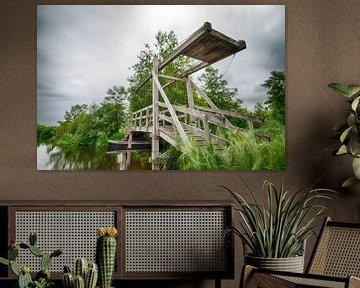 Pont dans le Weerribben-Wieden sur Mark Bolijn