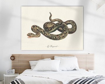 Le Serpent by Walljar