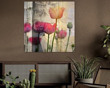 Mohn von Adri van Daal  Photo-Art