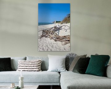 Ostsee: Darß - Weststrand von t.ART