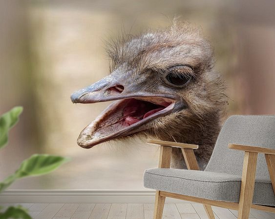 Voorbeeld van het werk in een kamer