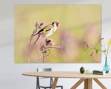 Goldfinch on the thistles by Roosmarijn Bruijns