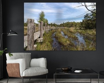 Plankpad through Dwingelderveld by Paul Veen
